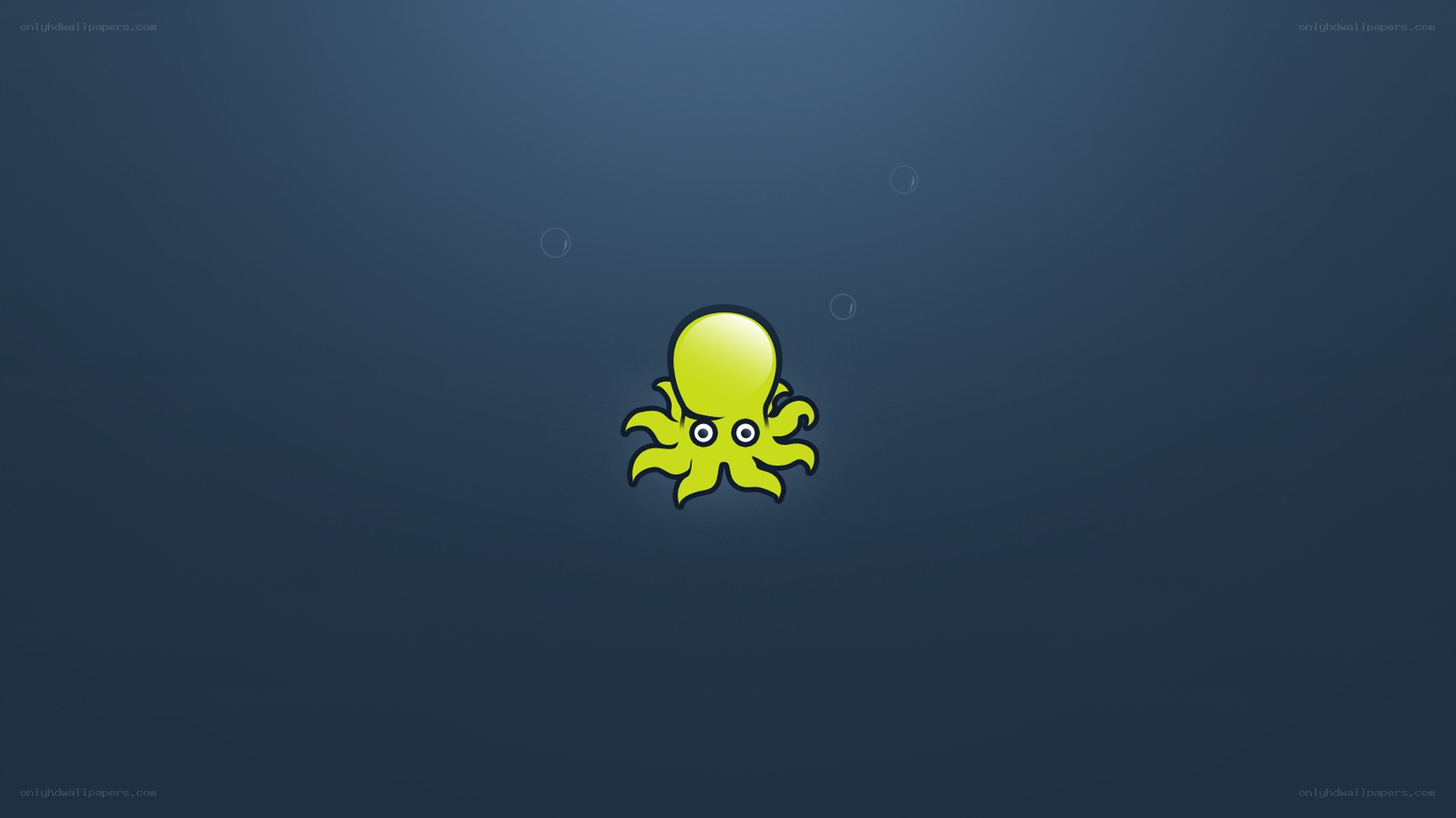 yellow octopus underwater