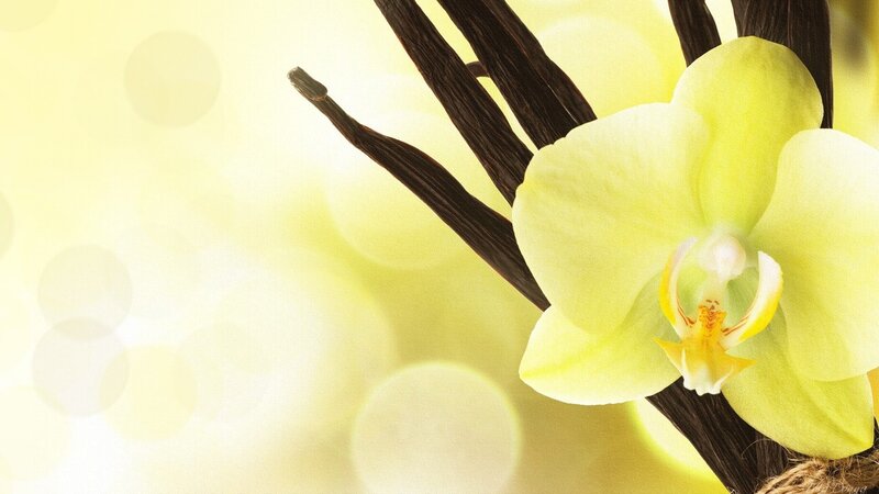 Yellow Orchid and Vanilla Beans