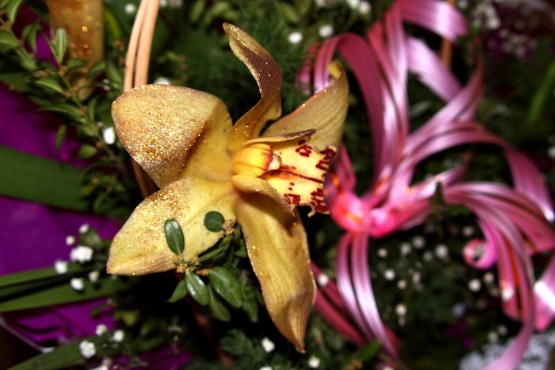 Yellow Orchid Flower — Festive