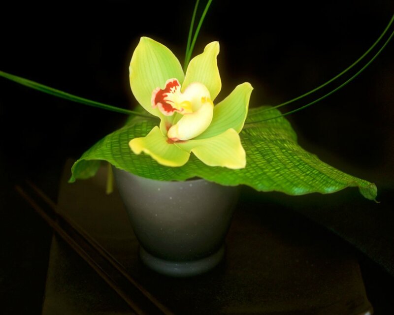 Yellow Orchid in Pot — Green