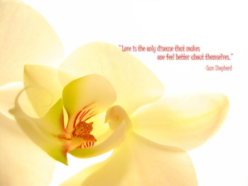 yellow orchid with quote