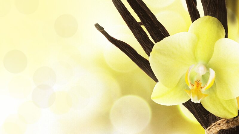 Yellow Orchid with Vanilla Beans — Serene