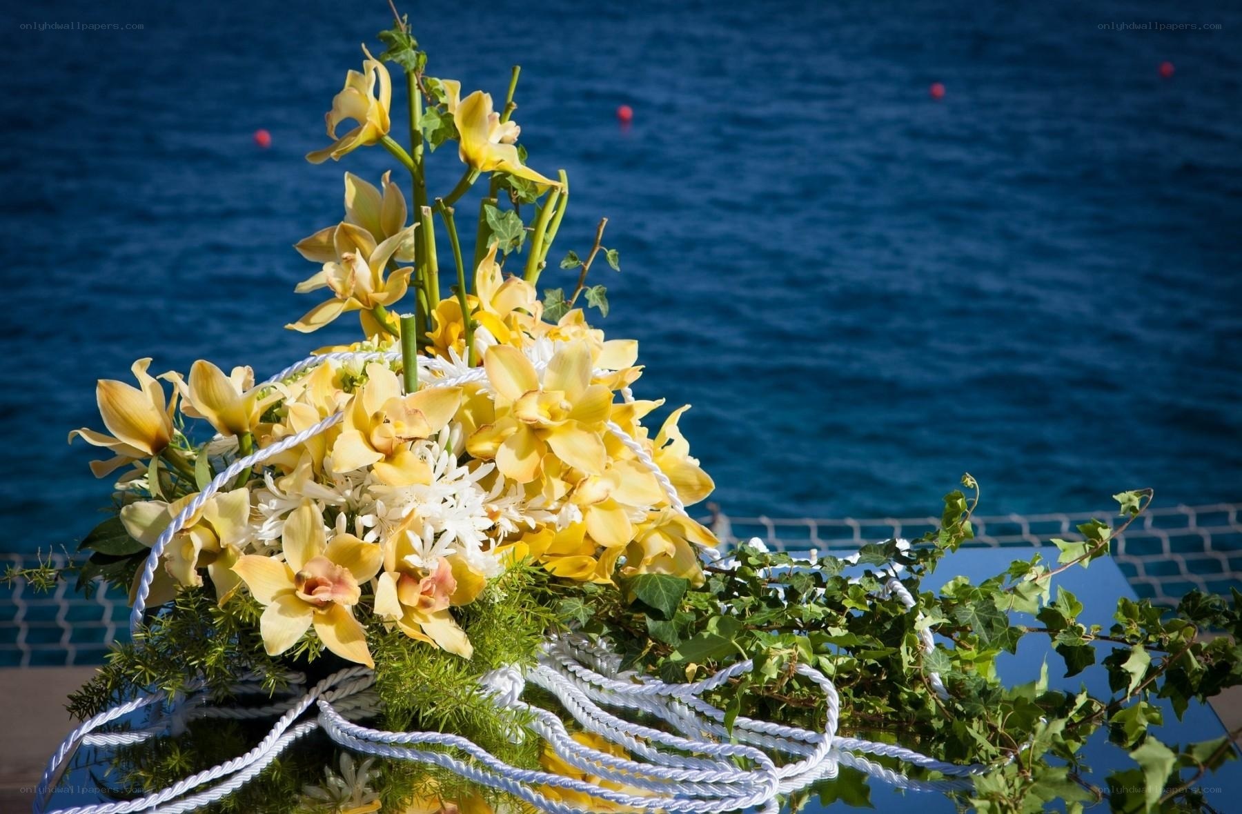 Yellow orchids by the sea