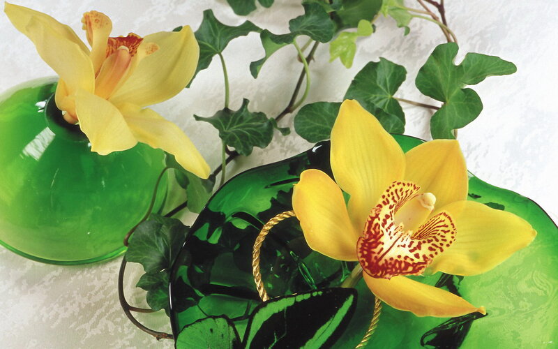 Yellow Orchids in Green Vases