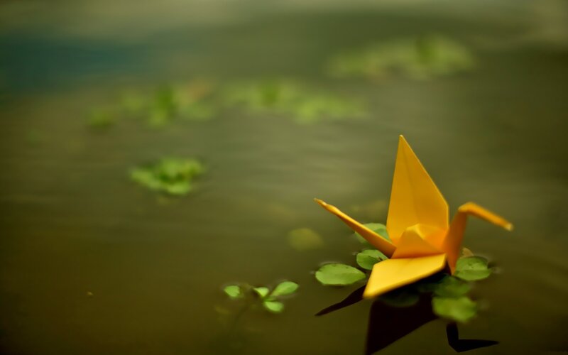 Yellow Origami Crane — Serene, Photograph, Water
