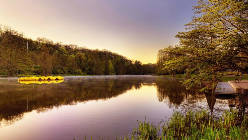 Yellow Paddle Boats — Green, Serene