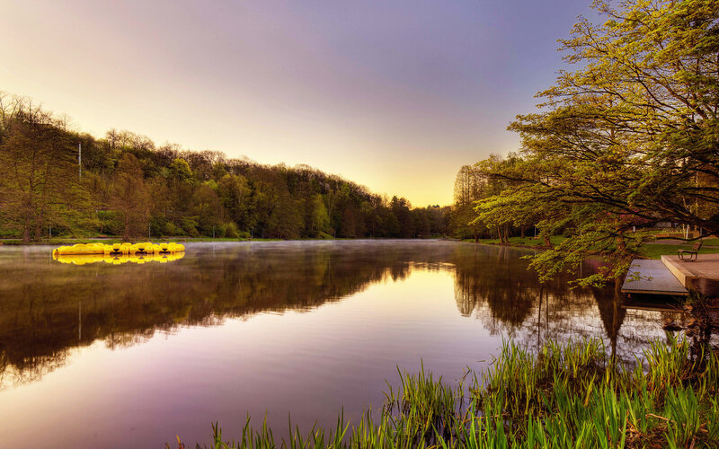 Yellow Paddle Boats — Green