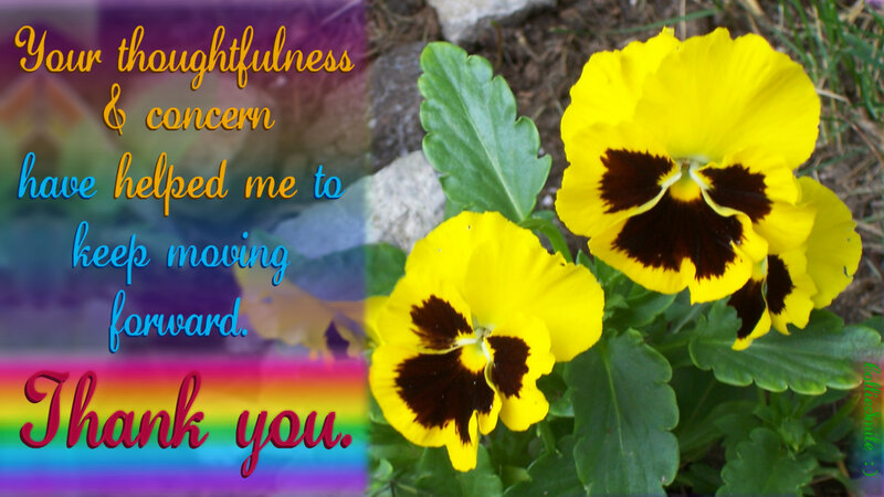 Yellow Pansy Flowers — Grateful