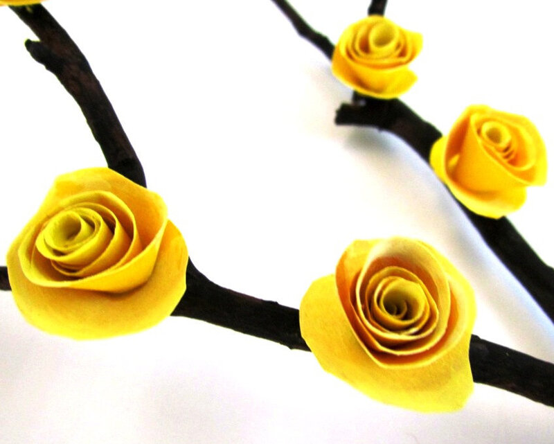 Yellow Paper Roses on Branch