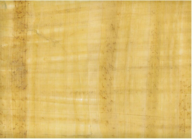 yellow papyrus texture