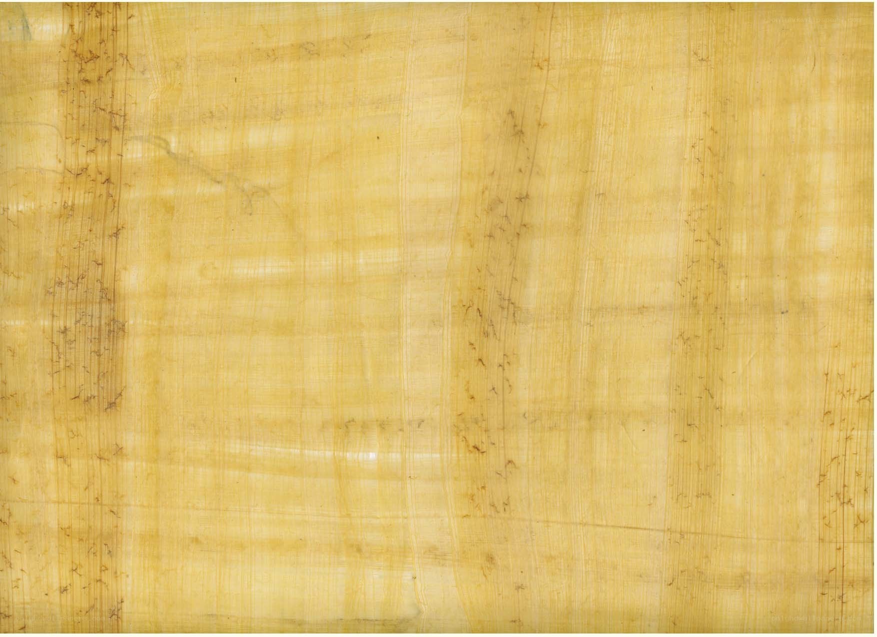 yellow papyrus texture