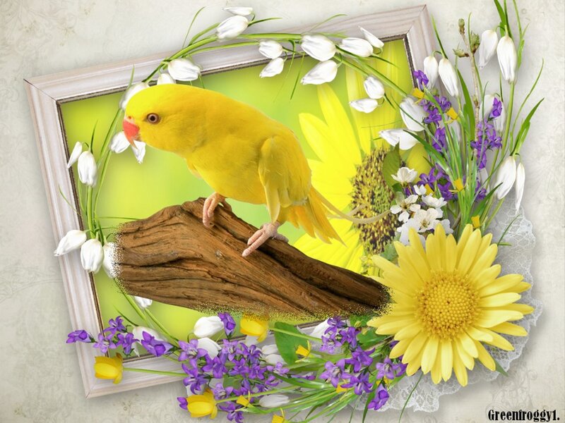 Yellow Parrot on Branch — Cheerful
