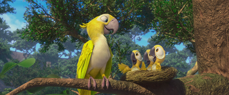 Yellow Parrot with Chicks