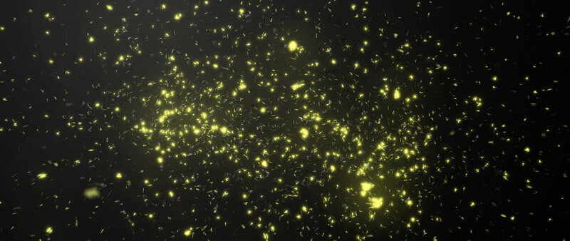 Yellow Particles in Dark Space — Black