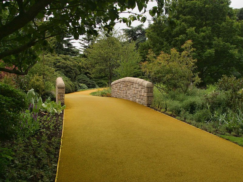 Yellow Path in Garden