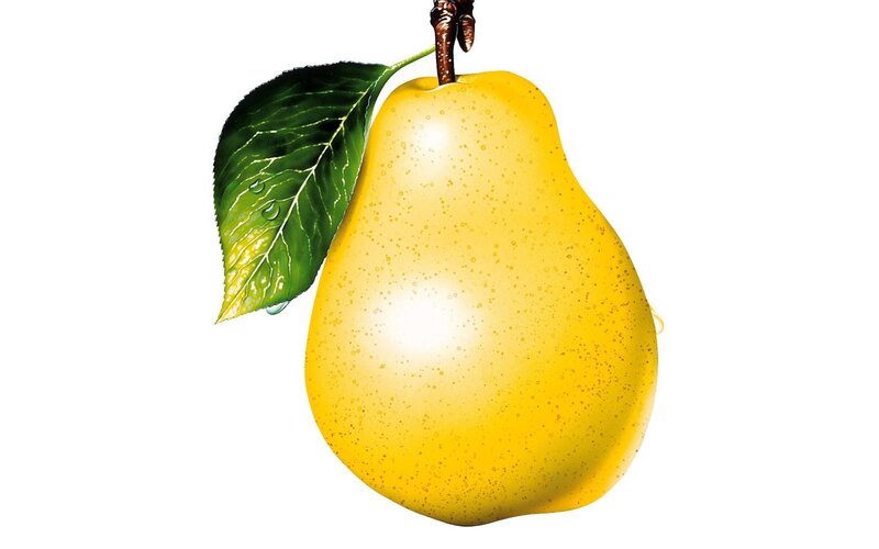 Yellow Pear with Leaf — Calm, Illustration