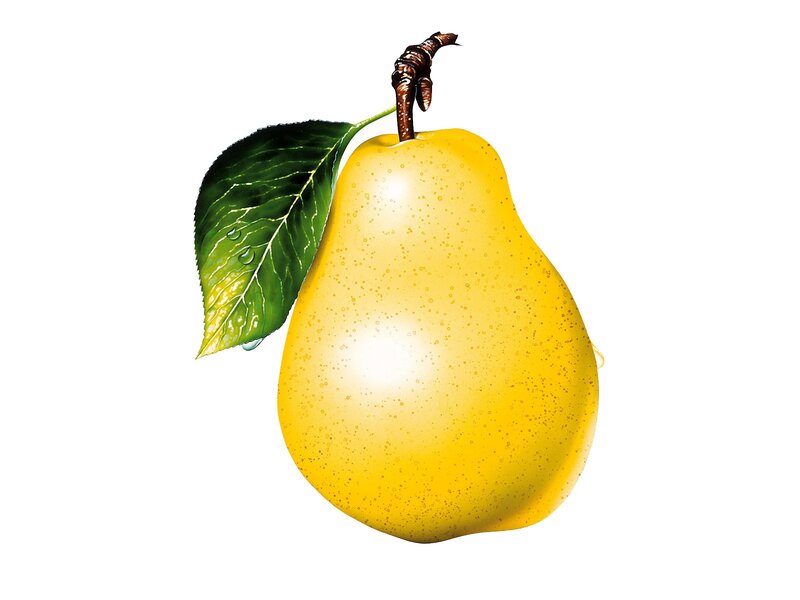 Yellow Pear with Leaf — Calm