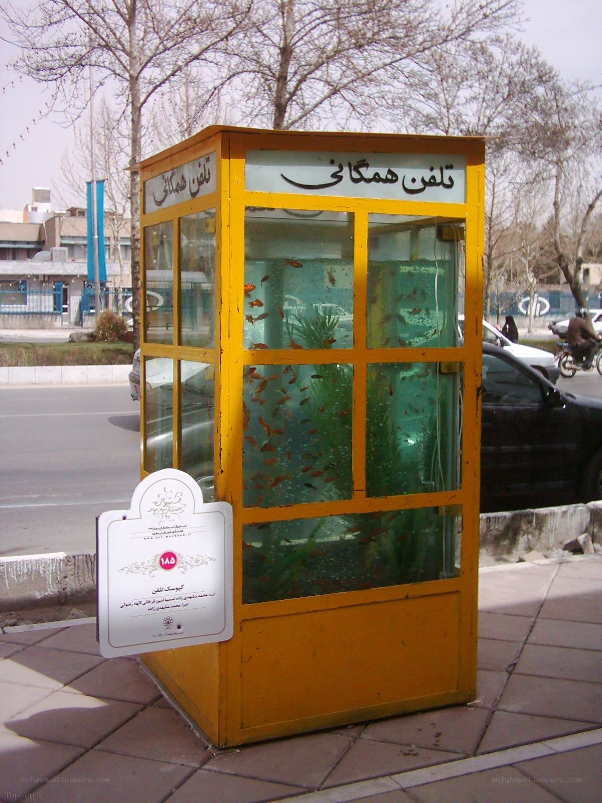 Yellow phone booth with fish tank