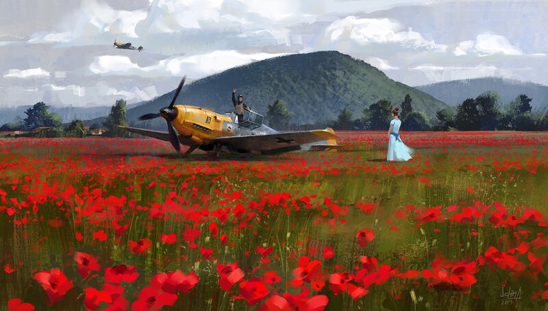 Yellow Plane in Poppy Field