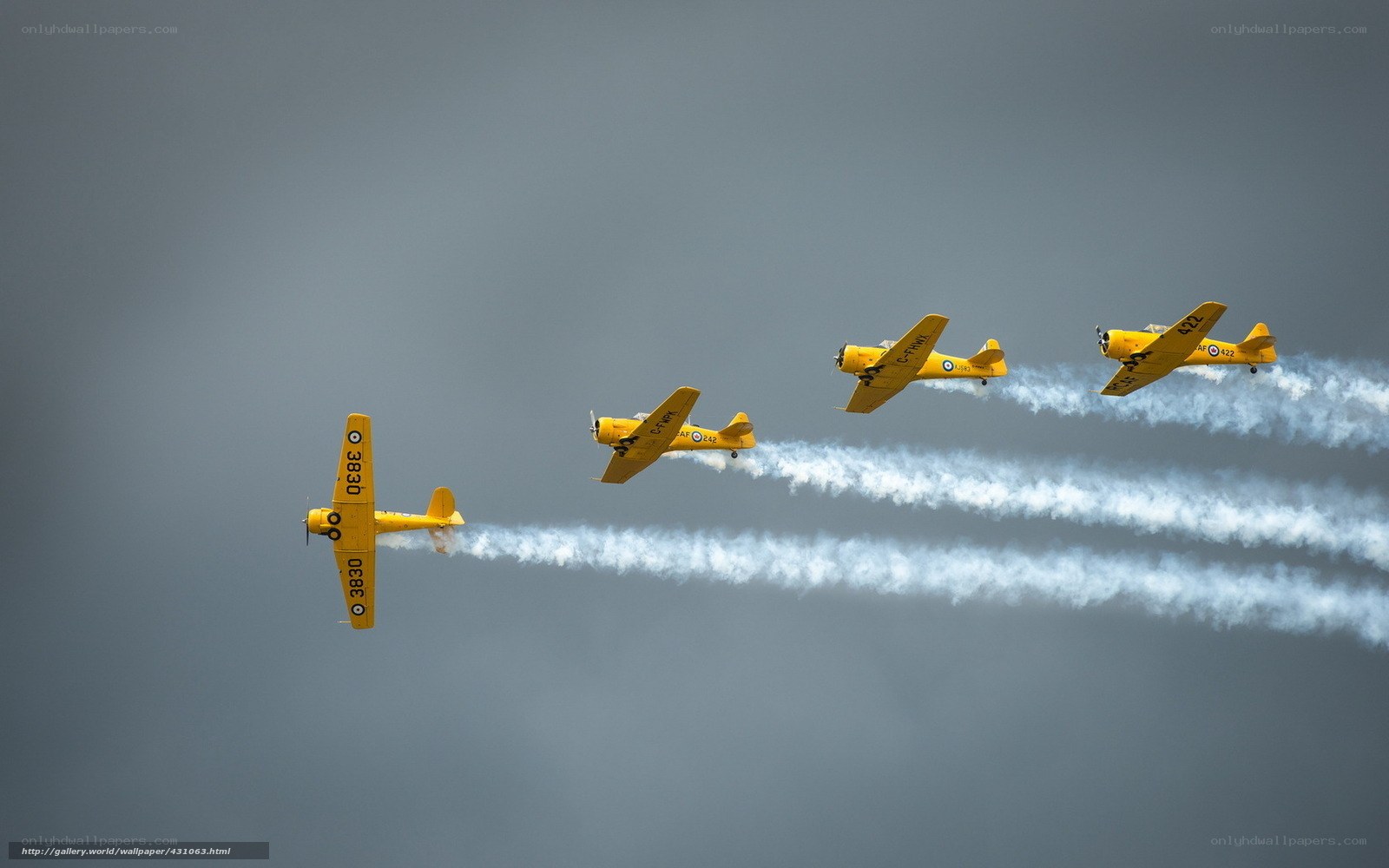 Yellow planes in formation