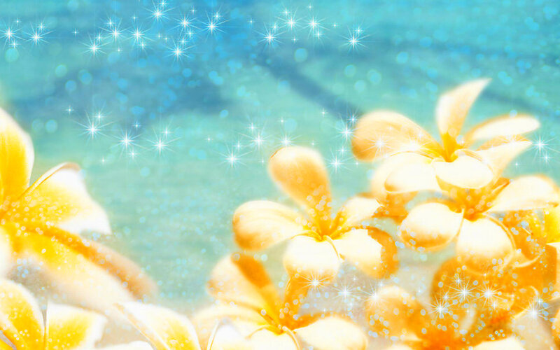 Yellow Plumeria Flowers — Dreamy