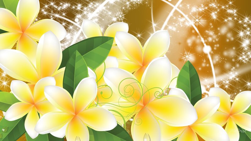Yellow Plumeria Flowers — Festive