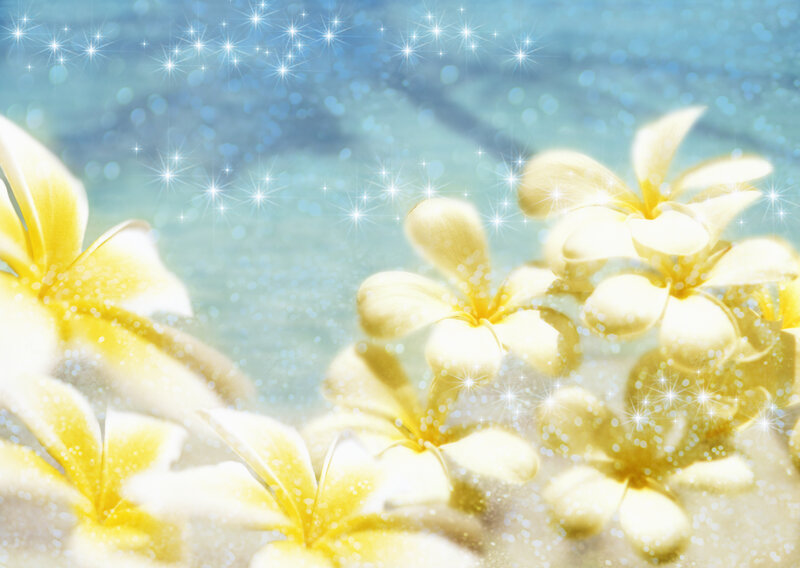 Yellow Plumeria Flowers — Serene, Digital Art, Sparkles