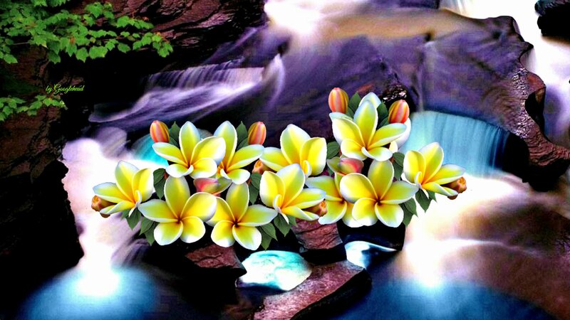 Yellow Plumeria Flowers — Serene, Digital Art