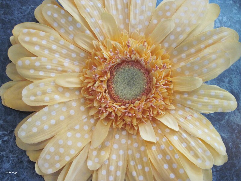 Yellow Polka Dot Flower