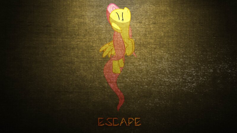Yellow Pony Character