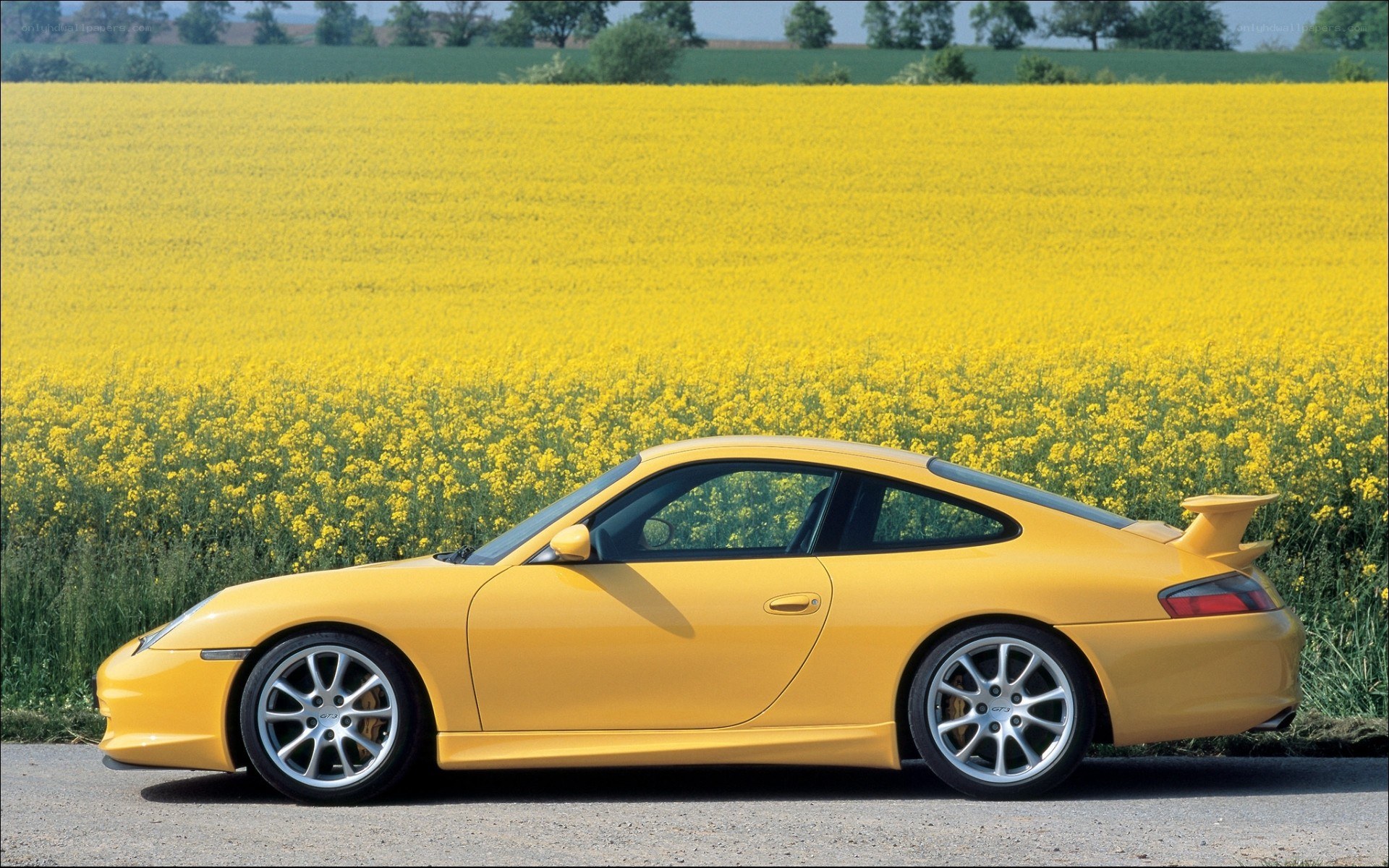 Yellow Porsche in a flower field