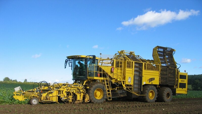 Yellow potato harvester in field