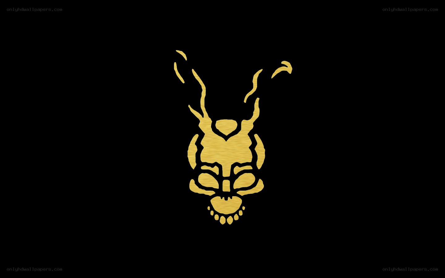yellow rabbit logo on black