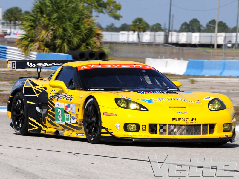 Yellow Race Car — Dynamic, Afternoon, Photograph, Race Track, Palm Tree