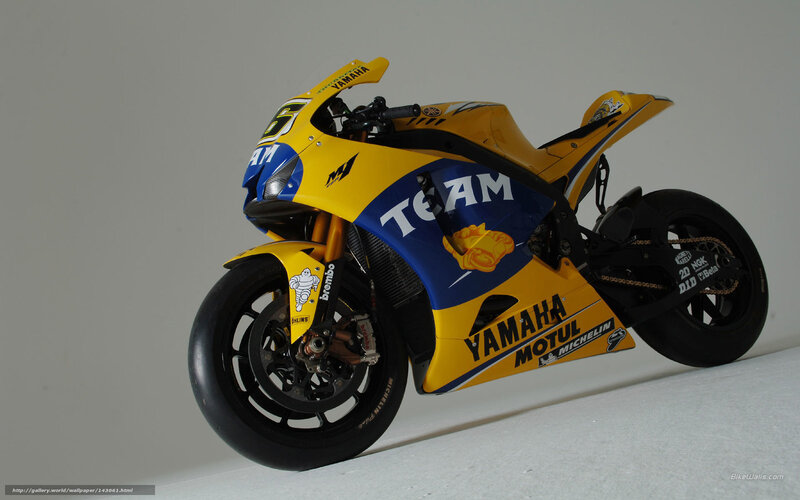 Yellow Racing Motorcycle — Neutral, Photograph