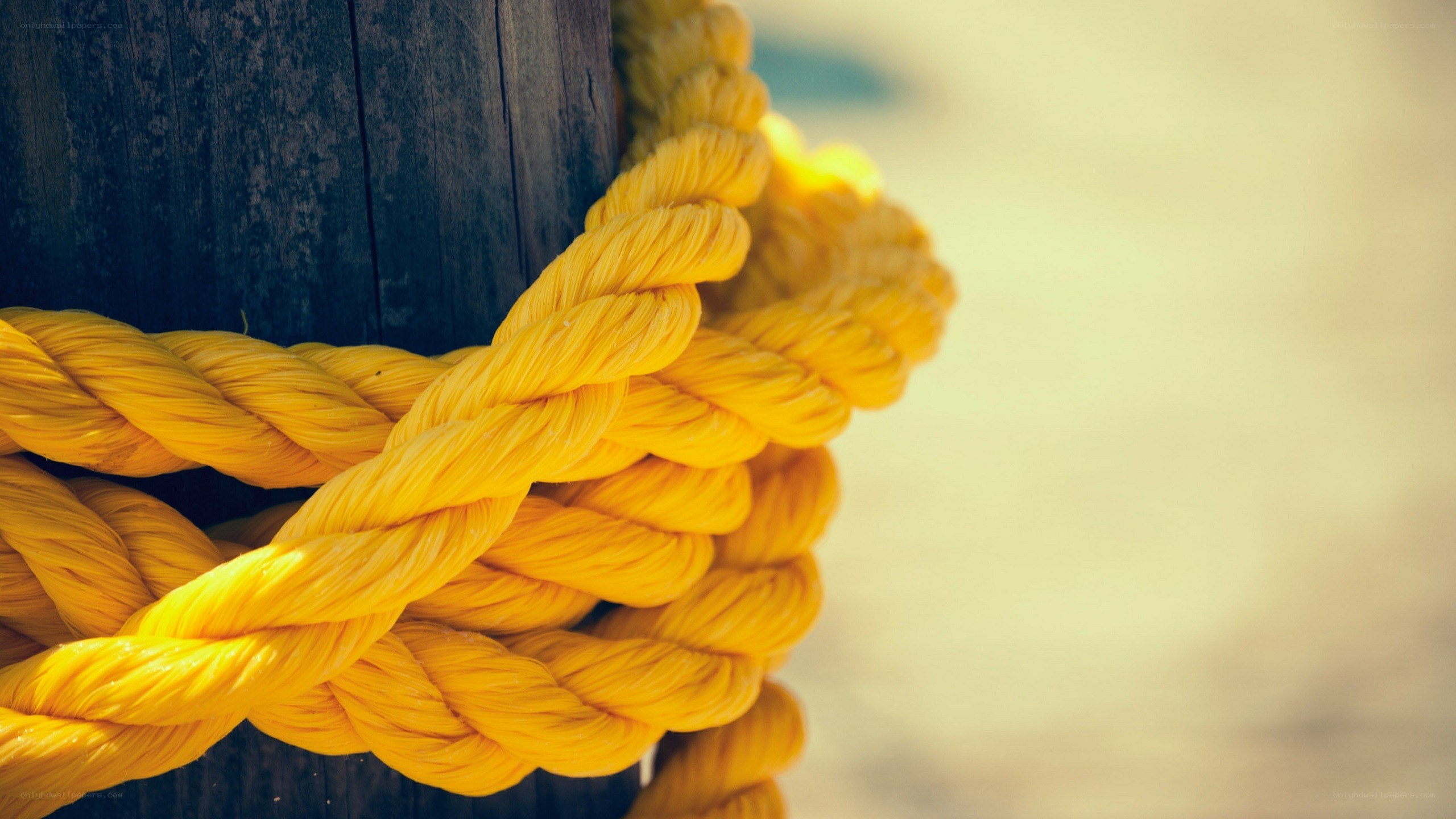 yellow rope on wooden post