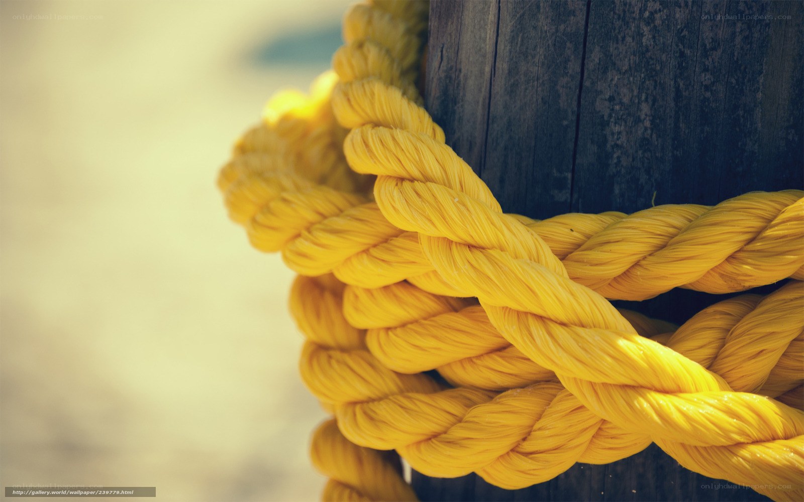 Yellow rope on wooden post