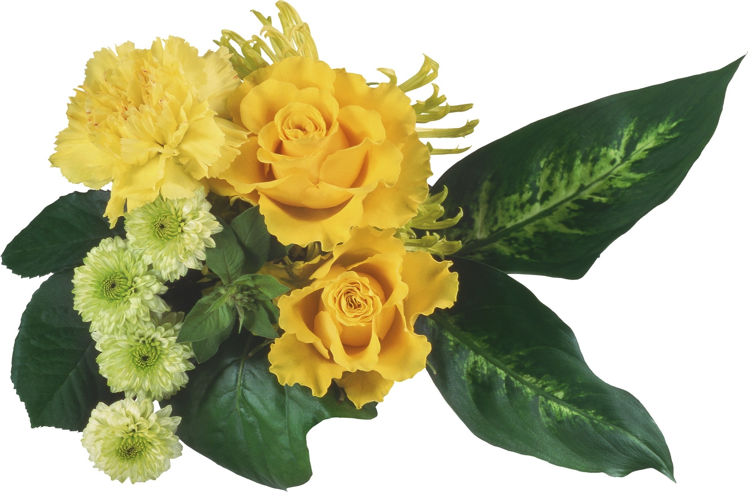 yellow rose and carnation bouquet