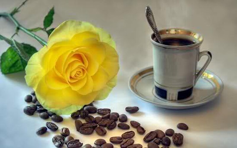 Yellow Rose and Coffee Cup — Calm