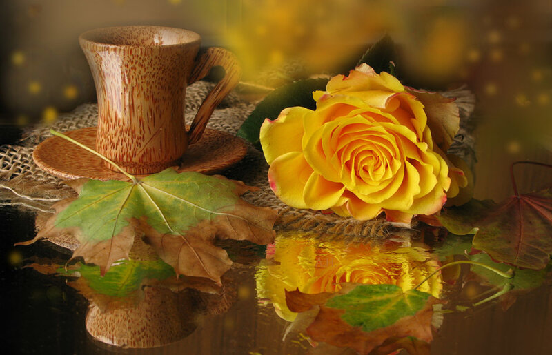 Yellow Rose and Cup — Serene, Autumn