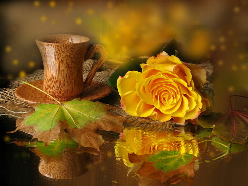 Yellow Rose and Cup — Serene