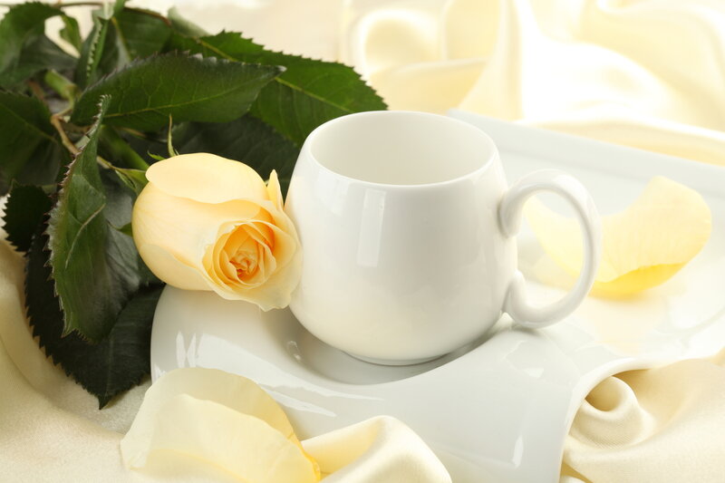 Yellow Rose and Cup