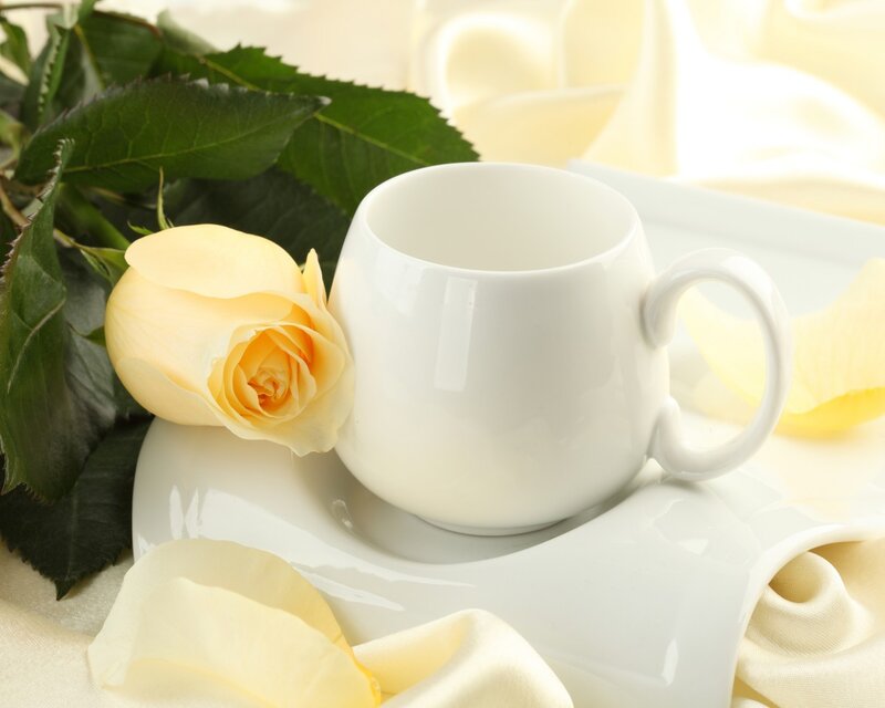 Yellow Rose and Cup — White