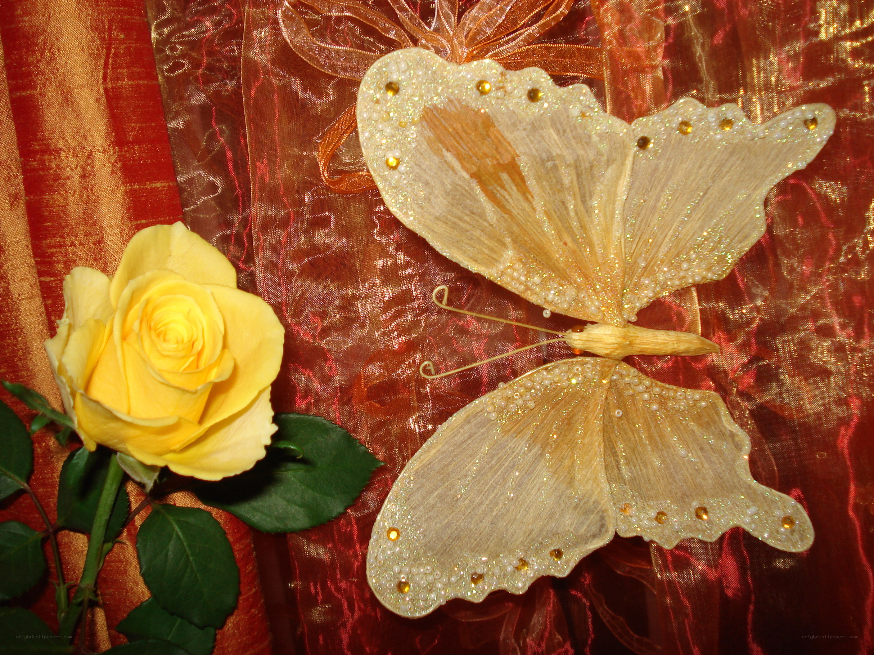 Yellow rose and decorative butterfly