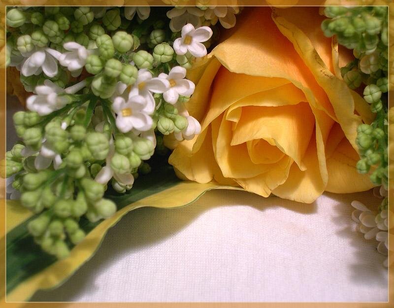 Yellow Rose and Lilac