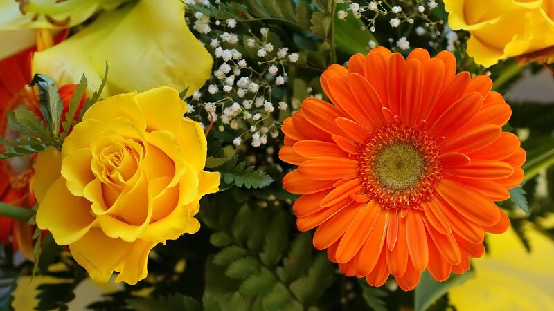 Yellow Rose and Orange Gerbera