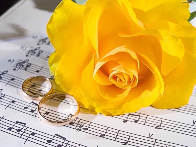 Yellow Rose and Rings