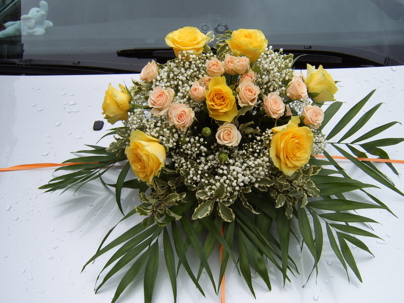 Yellow Rose Bouquet — Calm, Photograph, Car Hood