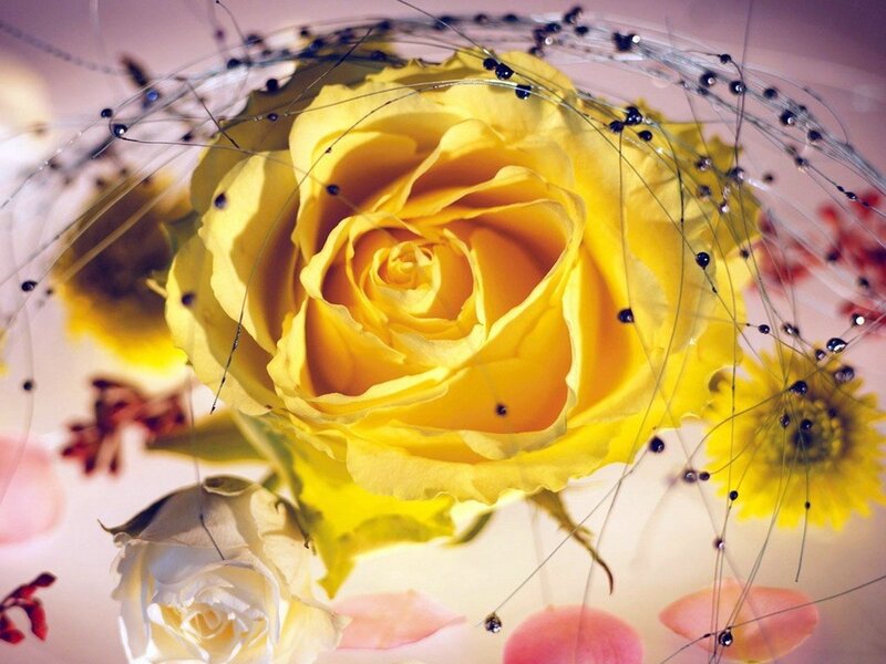 Yellow Rose Bouquet — Calm, Photograph, Flowers, Petals