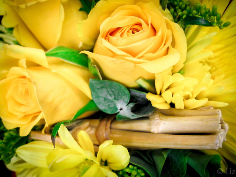 Yellow Rose Bouquet — Calm, Photograph, Green Leaves, Chrysanthemums